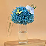 Blue Baby Breath & White Phalaenopsis Vase