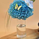 Blue Baby Breath & White Phalaenopsis Vase