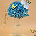 Blue Baby Breath & White Phalaenopsis Vase