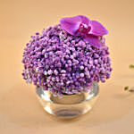 Purple Baby Breath & Phalaenopsis Fish Bowl Vase