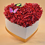 Red Baby Breath Heart Shaped Box