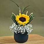 Sunflower & Baby Breath Designer Vase