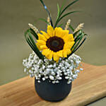 Sunflower & Baby Breath Designer Vase