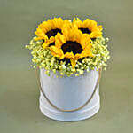 Cheerful Sunflowers & Baby Breath Box Arrangement