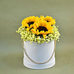 Cheerful Sunflowers & Baby Breath Box Arrangement