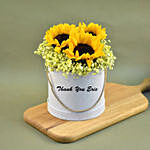 Cheerful Sunflowers & Baby Breath in Box