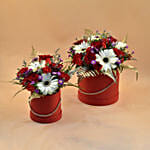 Ravishing Mixed Flowers Red Box Combo