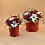 Ravishing Mixed Flowers Red Box Combo