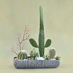 Mini Succulent Garden In Grey Vase