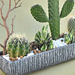 Mini Succulent Garden In Grey Vase