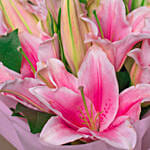 6 Passionate Oriental Pink Lilies