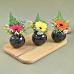 Gerberas Fish Bowl Vase Trio