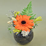 Gerberas Fish Bowl Vase Trio