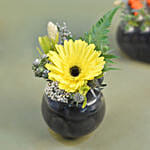 Gerberas Fish Bowl Vase Trio