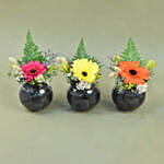 Gerberas Fish Bowl Vase Trio