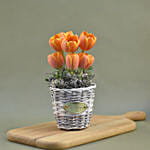 Orange Tulips Willow Basket