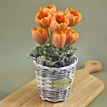 Orange Tulips Willow Basket