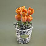 Orange Tulips Willow Basket