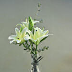 Serene Yellow Lily Bottle Vase