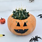 Cactus in Evil Pumpkin