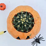 Cactus in Evil Pumpkin