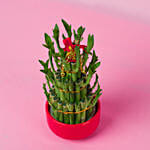 3 Layer Bamboo In Chinese New Year In Red Pot