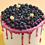 Designer Blueberry  cake