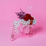 Mixed Flowers Bicycle Arrangement for Valentine