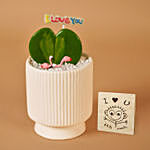 Single Hoya Plant for Valentine With I Love You Table Top For Love
