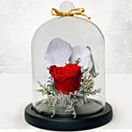 Red Forever Rose In Glass Dome With Mini Mousse Cake