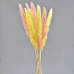 Pixie Touch Pampas Vase