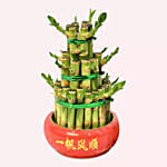 3 Layer Bamboo Plant