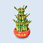 3 Layer Bamboo Plant