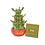 3 Layer Bamboo Plant