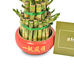 3 Layer Bamboo Plant