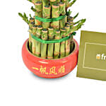 3 Layer Bamboo Plant