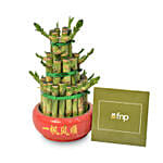 3 Layer Bamboo Plant