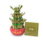 3 Layer Bamboo Plant