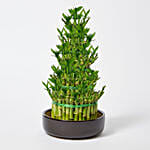 5 Layer Lucky Bamboo 36cm