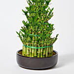 5 Layer Lucky Bamboo 36cm