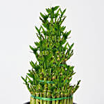 5 Layer Lucky Bamboo 36cm