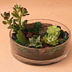 Charming Plants Platter