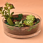 Charming Plants Platter