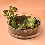 Charming Plants Platter