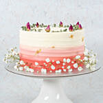 Ombre Pink Baby Breath Black Chocolate Cake 8 inch