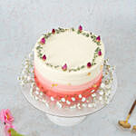 Ombre Pink Baby Breath Black Chocolate Cake 8 inch