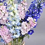 July Birthday Special Delpheniums