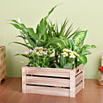 Urban Garden Plant Basket