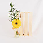 Sweet Yellow Gerbera Arrangement