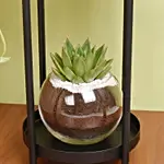 Scindapsus and Echeveria Plant Stand